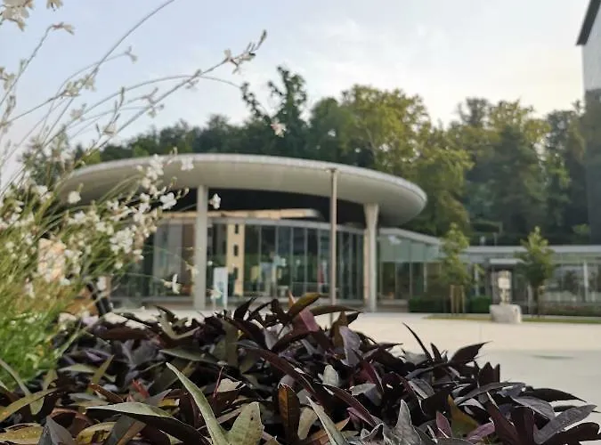 Апартаменты Soelek - Golf